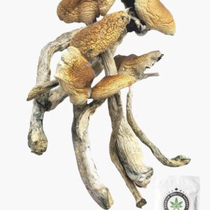 Brazilian Magic Mushrooms 5g Grab Bag