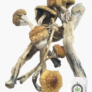 Huautla Magic Mushrooms 5g Grab Bag
