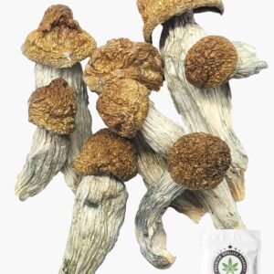 Melmac Magic Mushrooms 5g Grab Bag