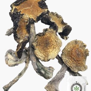 Amazonian Magic Mushrooms 5g Grab Bag