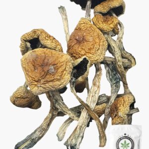 Wollygong Magic Mushrooms 5g Grab Bag