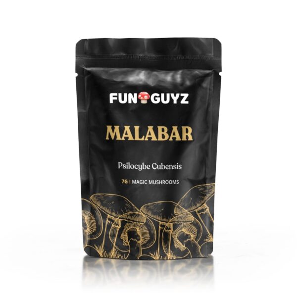 Malabar – Magic Mushrooms